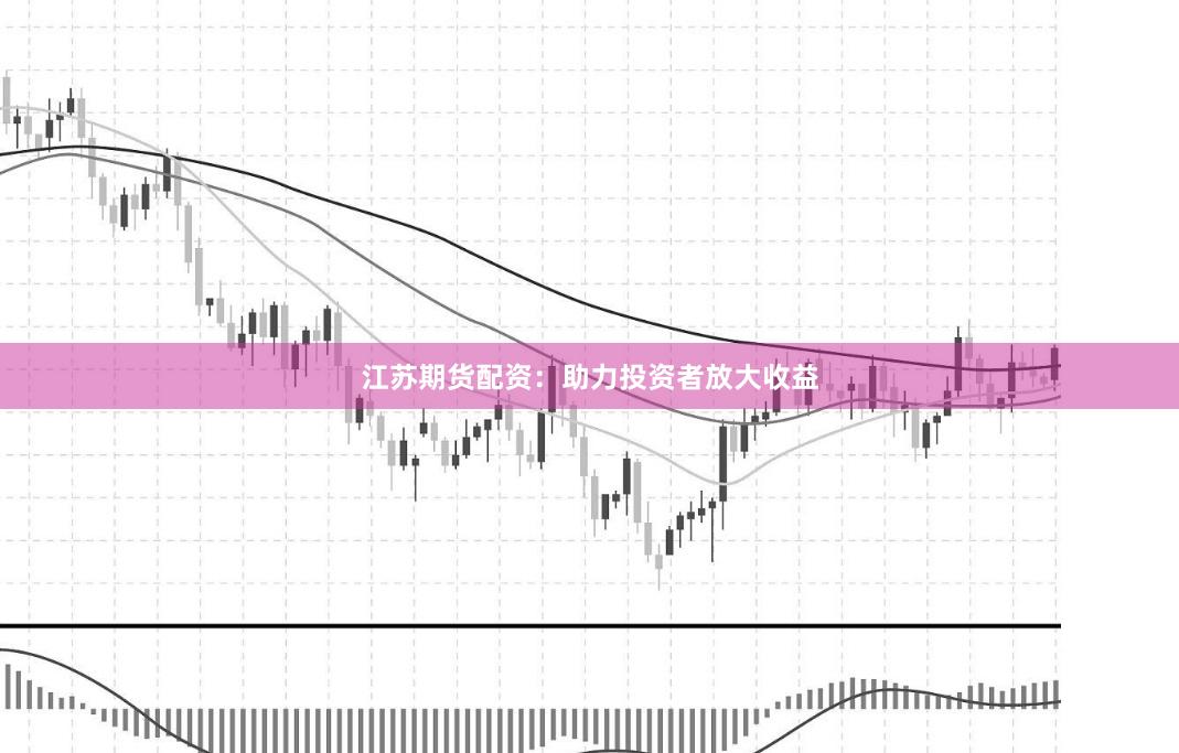 江苏期货配资：助力投资者放大收益